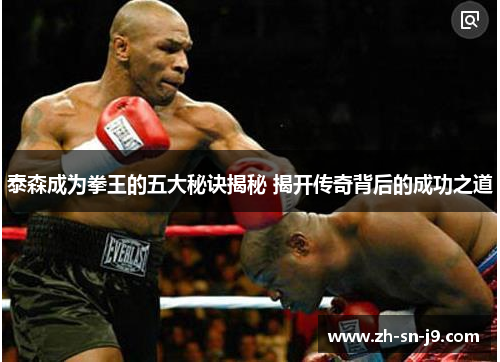 泰森成为拳王的五大秘诀揭秘 揭开传奇背后的成功之道