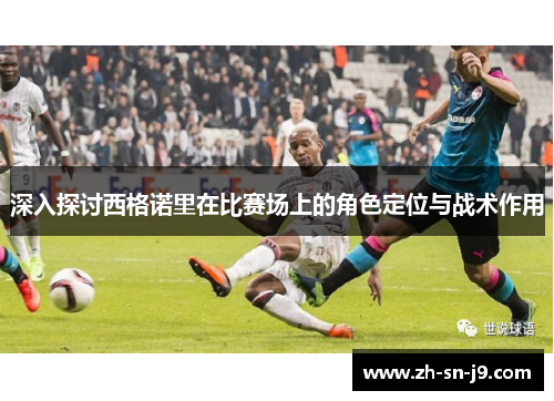 深入探讨西格诺里在比赛场上的角色定位与战术作用