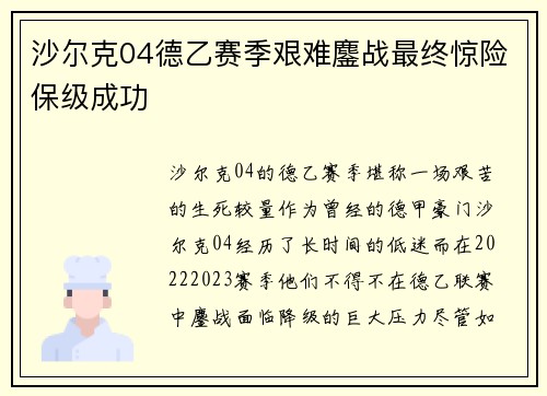 沙尔克04德乙赛季艰难鏖战最终惊险保级成功
